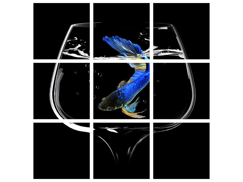 4-piece-canvas-print-betta-fish-dance