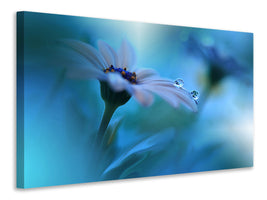 3-piece-canvas-print-beyond-the-visible