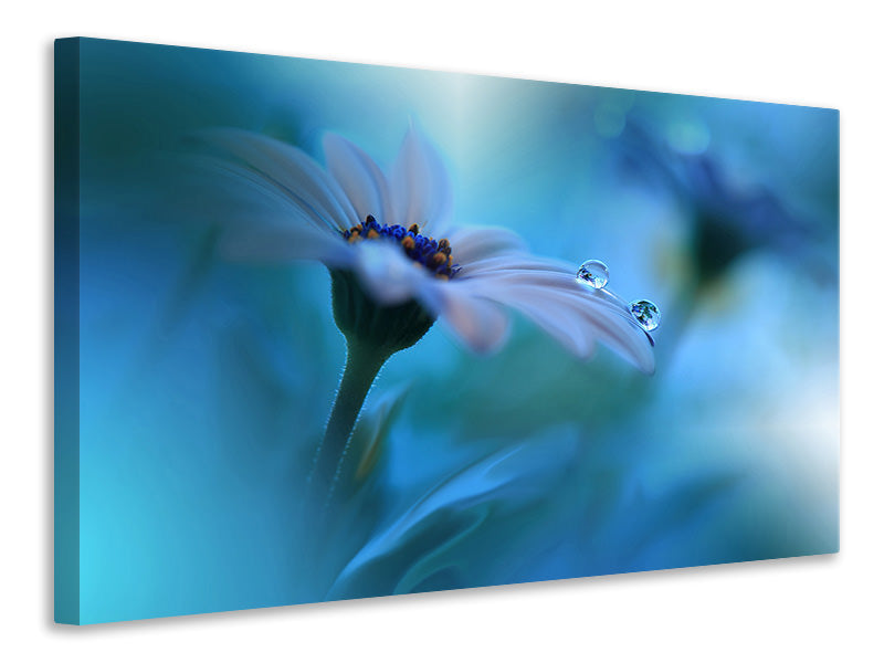 modern-4-piece-canvas-print-beyond-the-visible