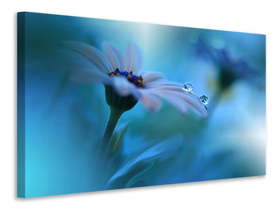 modern-4-piece-canvas-print-beyond-the-visible