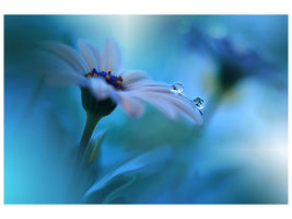3-piece-canvas-print-beyond-the-visible