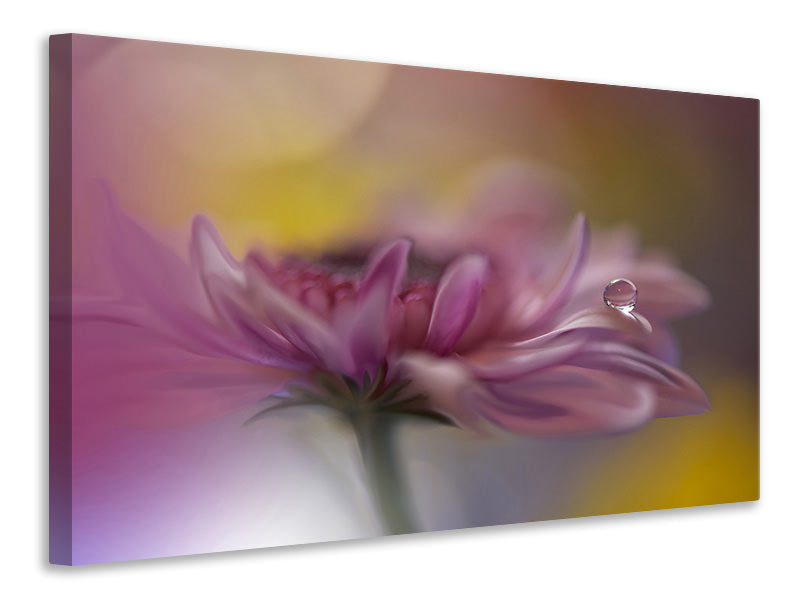 5-piece-canvas-print-beyond-words