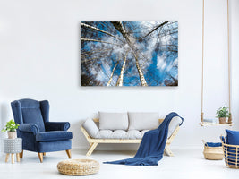 5-piece-canvas-print-birch-crowns