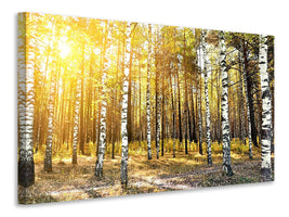 modern-4-piece-canvas-print-birch-forest