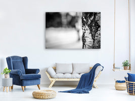 5-piece-canvas-print-birch-trunk