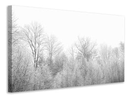 4-piece-canvas-print-birches-in-the-snow