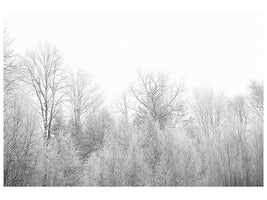 panoramic-canvas-print-birches-in-the-snow