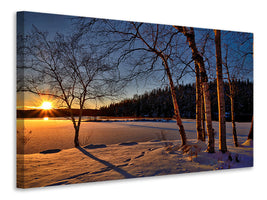 5-piece-canvas-print-birches-in-the-sunset