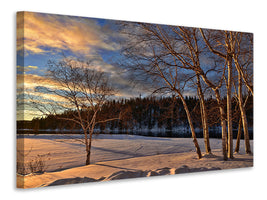 5-piece-canvas-print-birches-in-the-winter