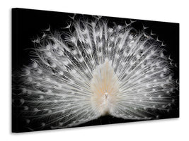 5-piece-canvas-print-black-and-white-v