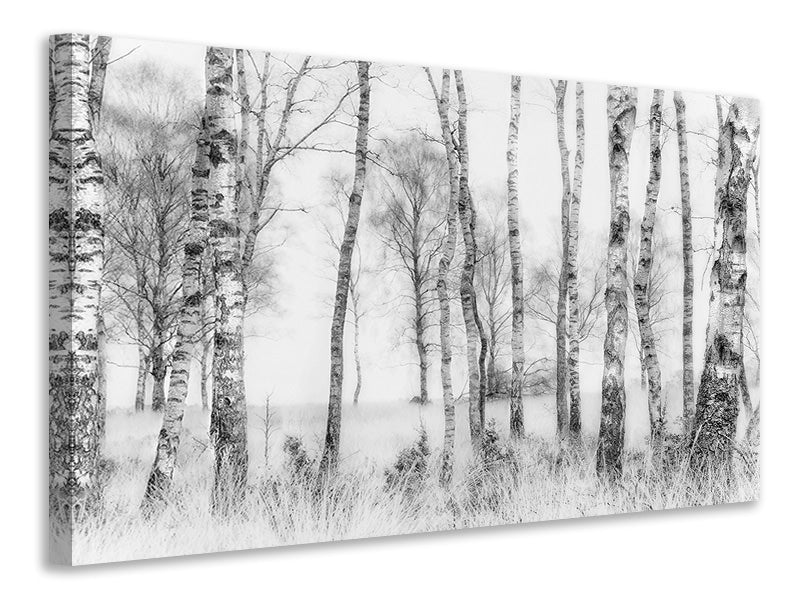 modern-4-piece-canvas-print-black-and-white