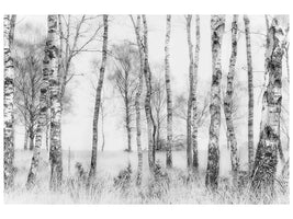 panoramic-3-piece-canvas-print-black-and-white