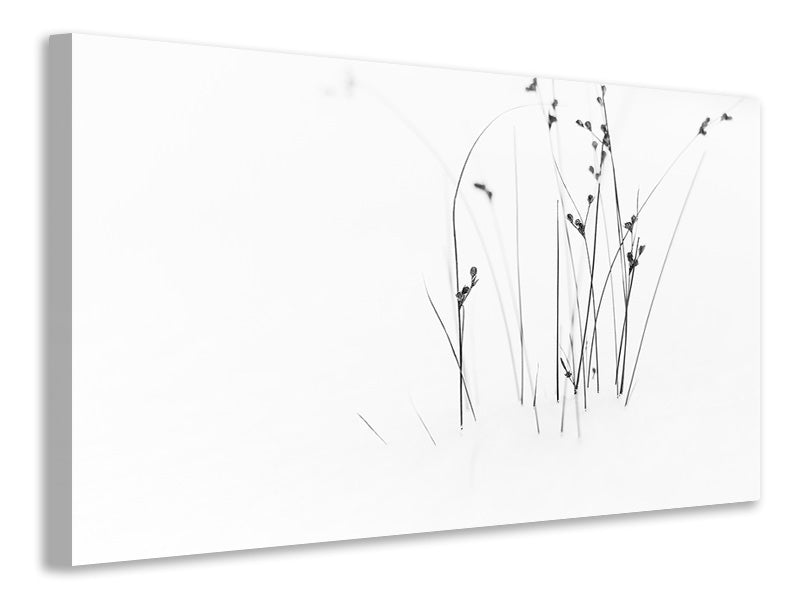 panoramic-3-piece-canvas-print-black-on-white