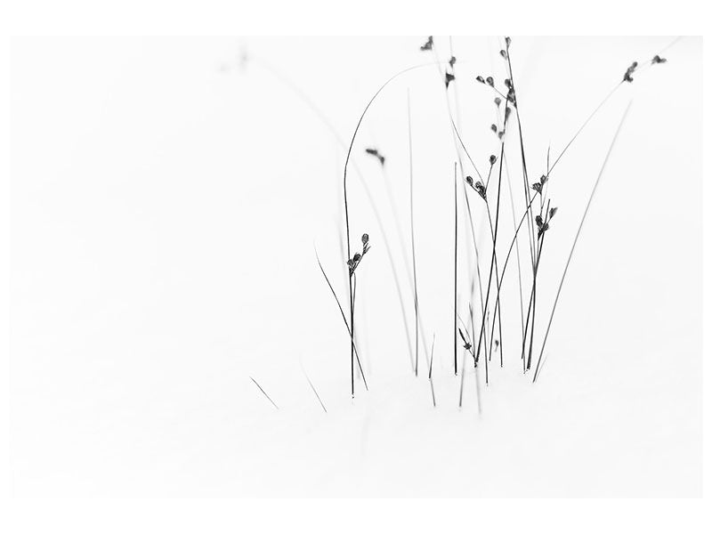 panoramic-canvas-print-black-on-white