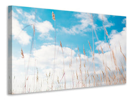 4-piece-canvas-print-blades-of-grass-in-the-sky