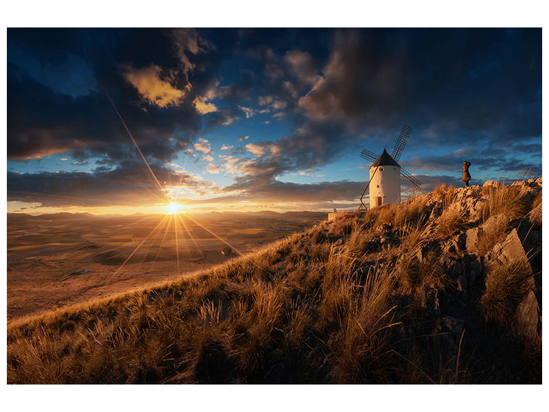 modern-4-piece-canvas-print-blancos-contra-el-sol