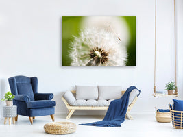 3-piece-canvas-print-blowball-dandelion