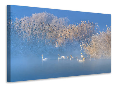modern-4-piece-canvas-print-blue-swan-lake