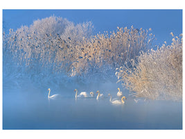 4-piece-canvas-print-blue-swan-lake