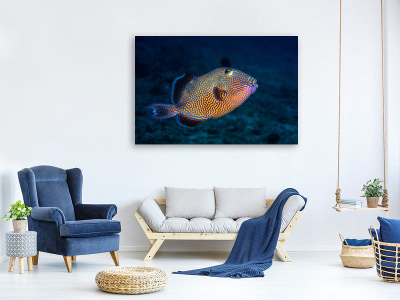 3-piece-canvas-print-blue-triggerfish