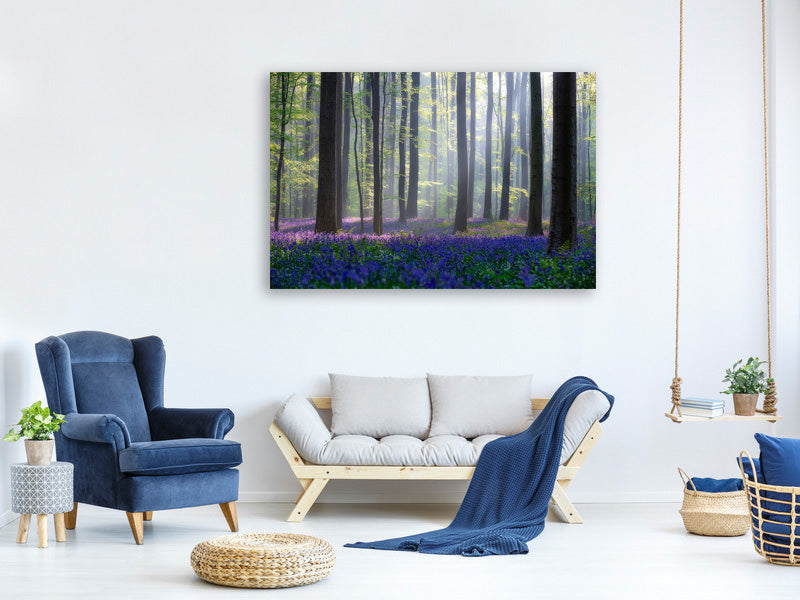 modern-3-piece-canvas-print-bluebells