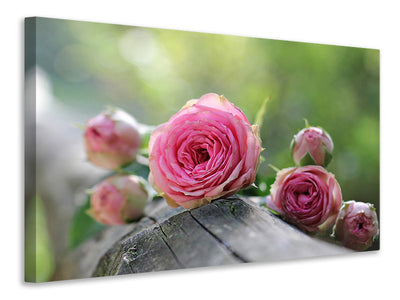 4-piece-canvas-print-bush-roses