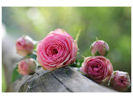 3-piece-canvas-print-bush-roses