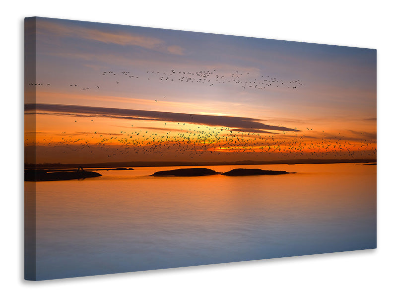 modern-4-piece-canvas-print-by-sunset