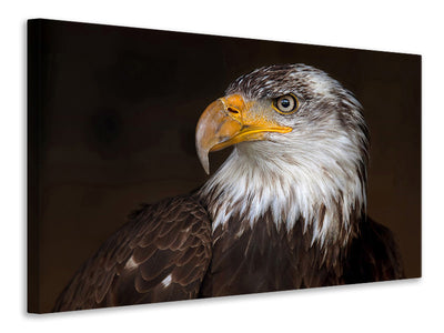 3-piece-canvas-print-caged-eagle