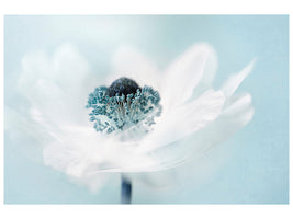 3-piece-canvas-print-candy-floss
