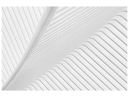 5-piece-canvas-print-canopy
