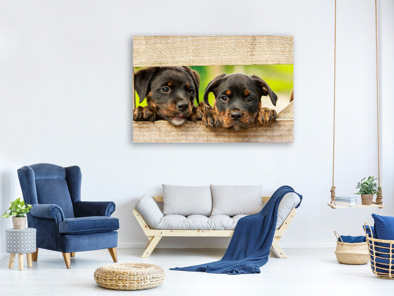 canvas-print-2-rottweiler-puppies