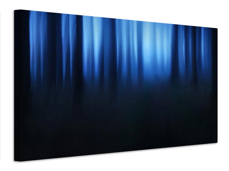 canvas-print-blue-hour-x