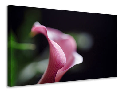Canvas Schilderij Calla in purple