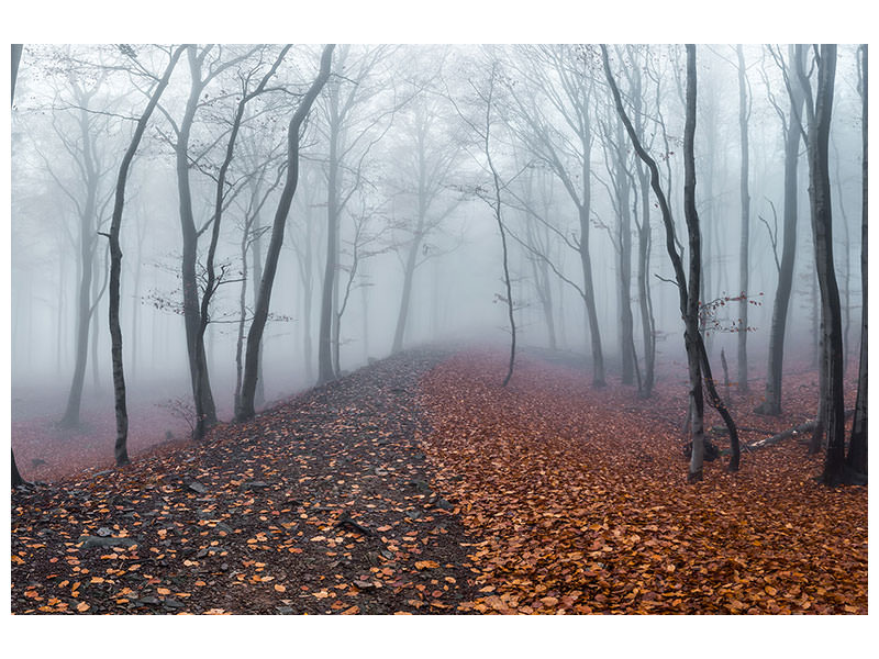 canvas-print-celtic-wall