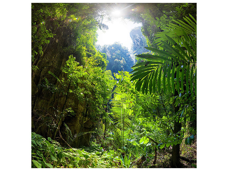 canvas-print-clearing-in-the-jungle