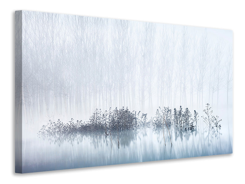canvas-print-cold-and-foggy-morning-in-the-swamp