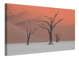 canvas-print-deadviel-xlo