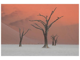 canvas-print-deadviel-xlo