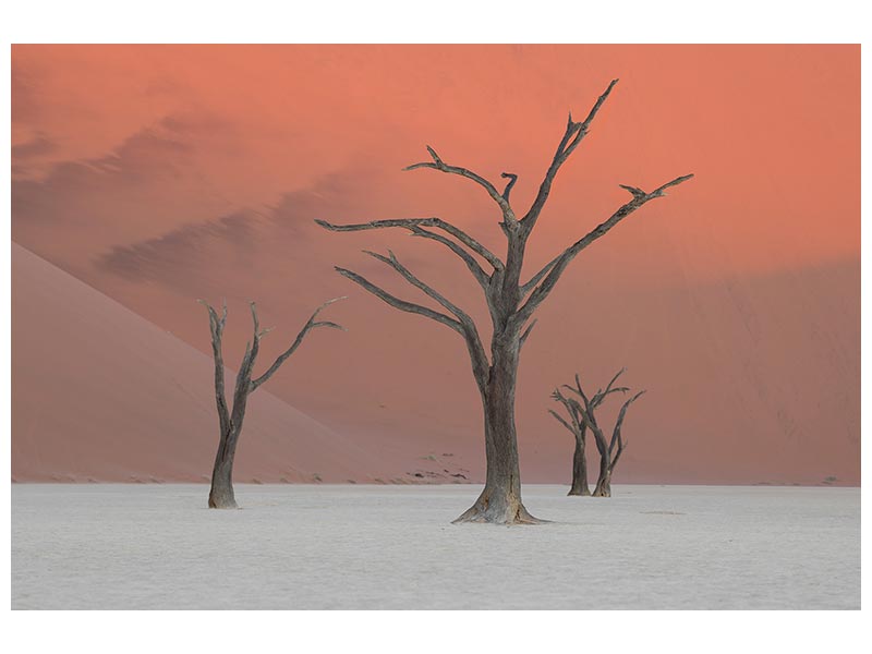 canvas-print-deadviel-xlo