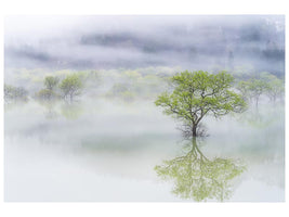 canvas-print-dreamy-tree-x