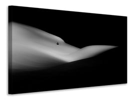 canvas-print-elephant-sleeping-a-white-dream