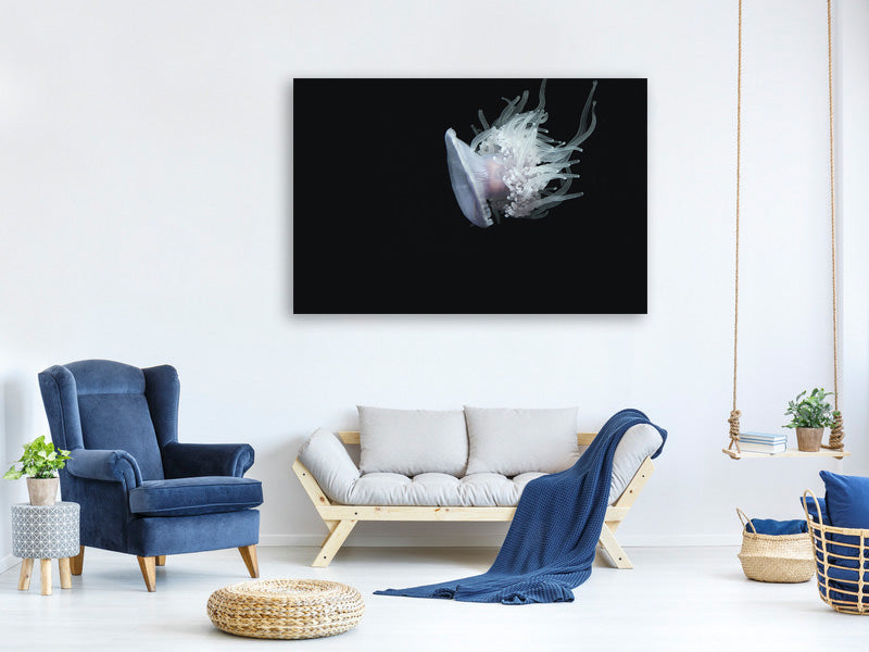 canvas-print-fascinating-jellyfish-xl