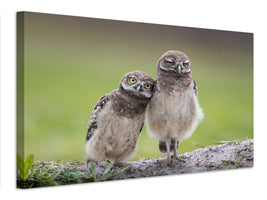 canvas-print-friends-xtd