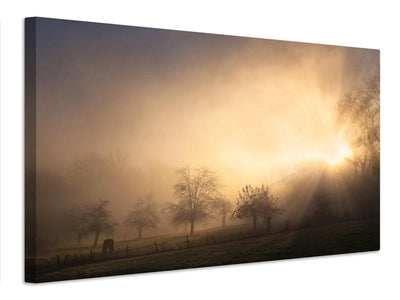 canvas-print-glorious-morning-x