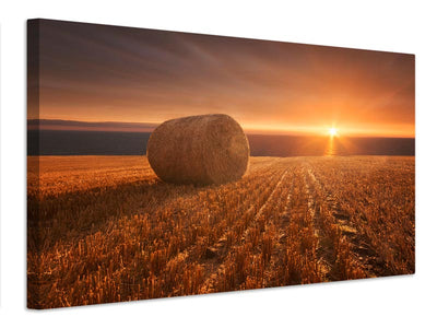 canvas-print-gold-harvest-x