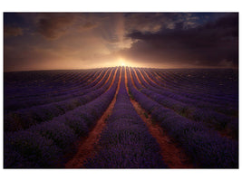 canvas-print-in-a-village-of-la-mancha