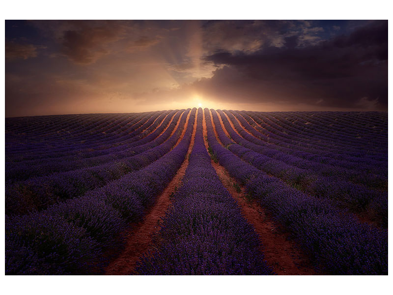 canvas-print-in-a-village-of-la-mancha
