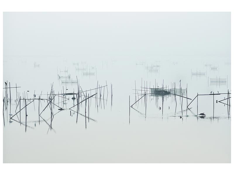 canvas-print-inba-x