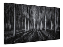 canvas-print-into-the-forest-x